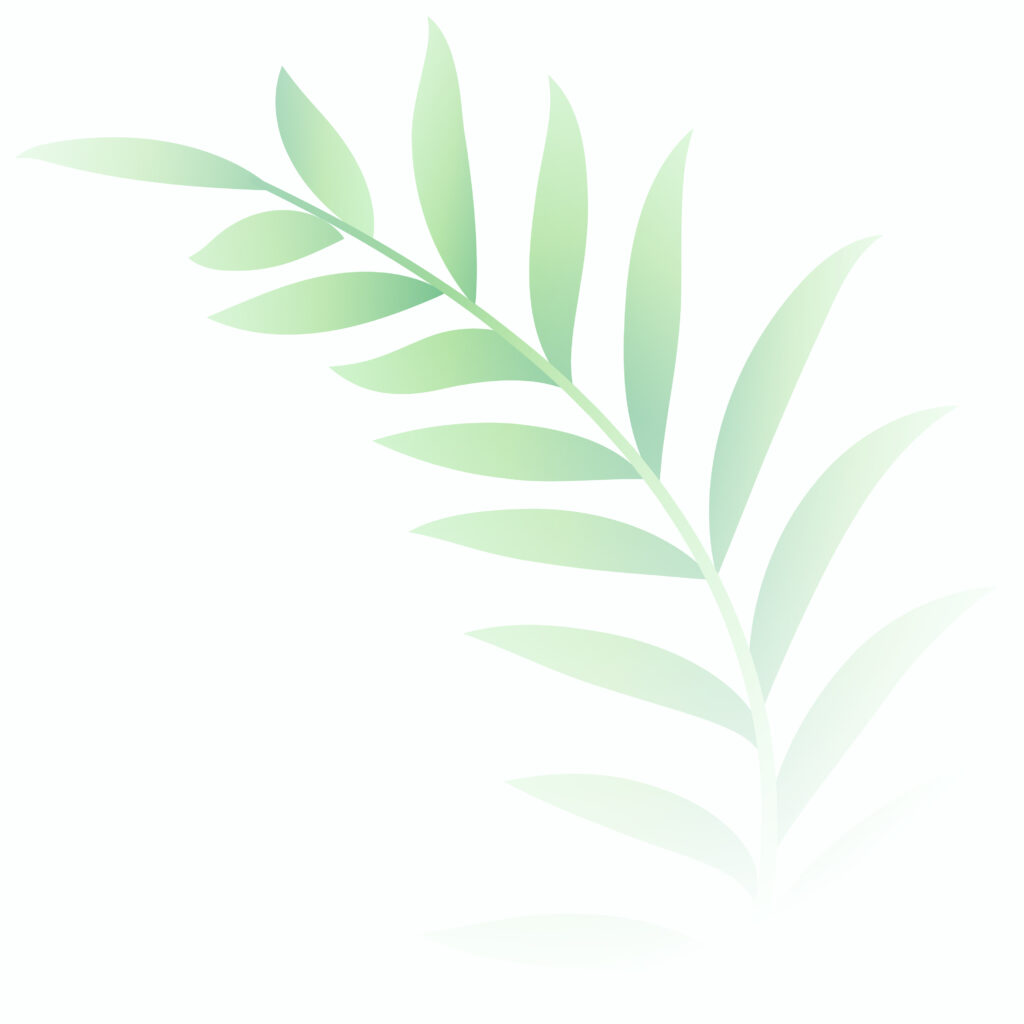 minimal soft green leaves